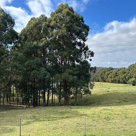 Blueberry Hills On Comleroy Farmstay - Self-Contained Cottages Kurrajong ภายนอก รูปภาพ