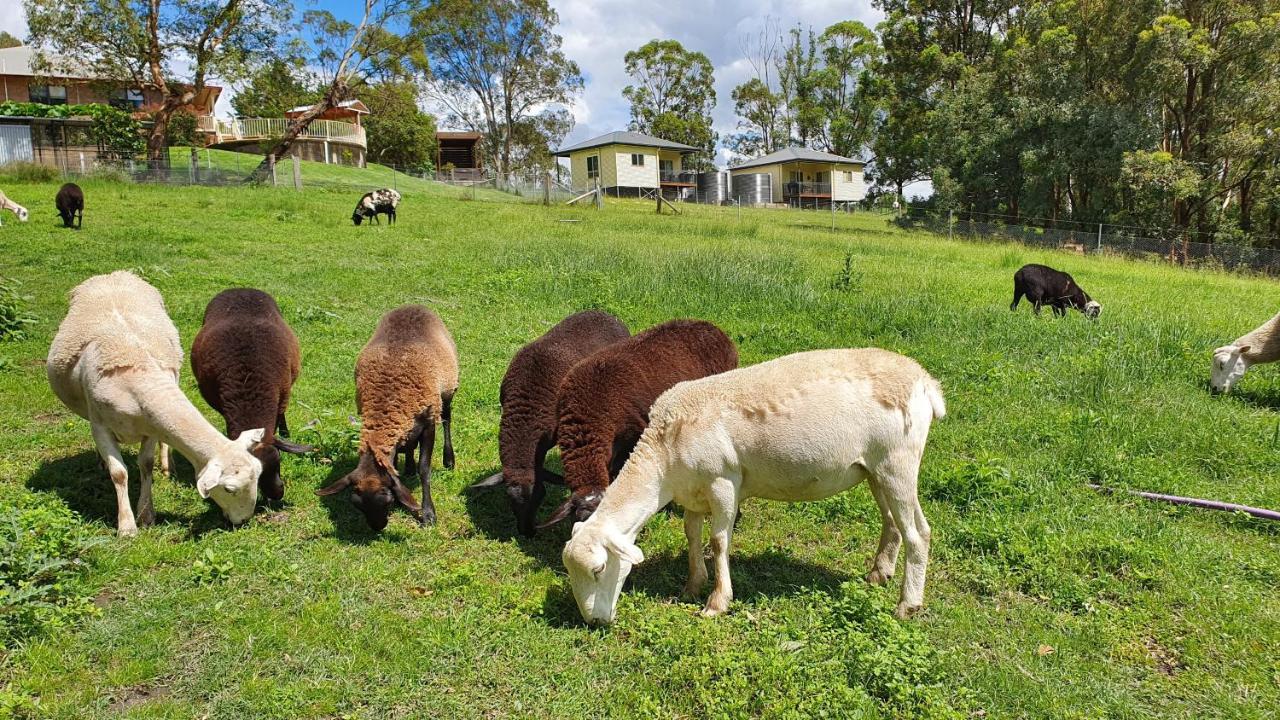 Blueberry Hills On Comleroy Farmstay - Self-Contained Cottages Kurrajong ภายนอก รูปภาพ