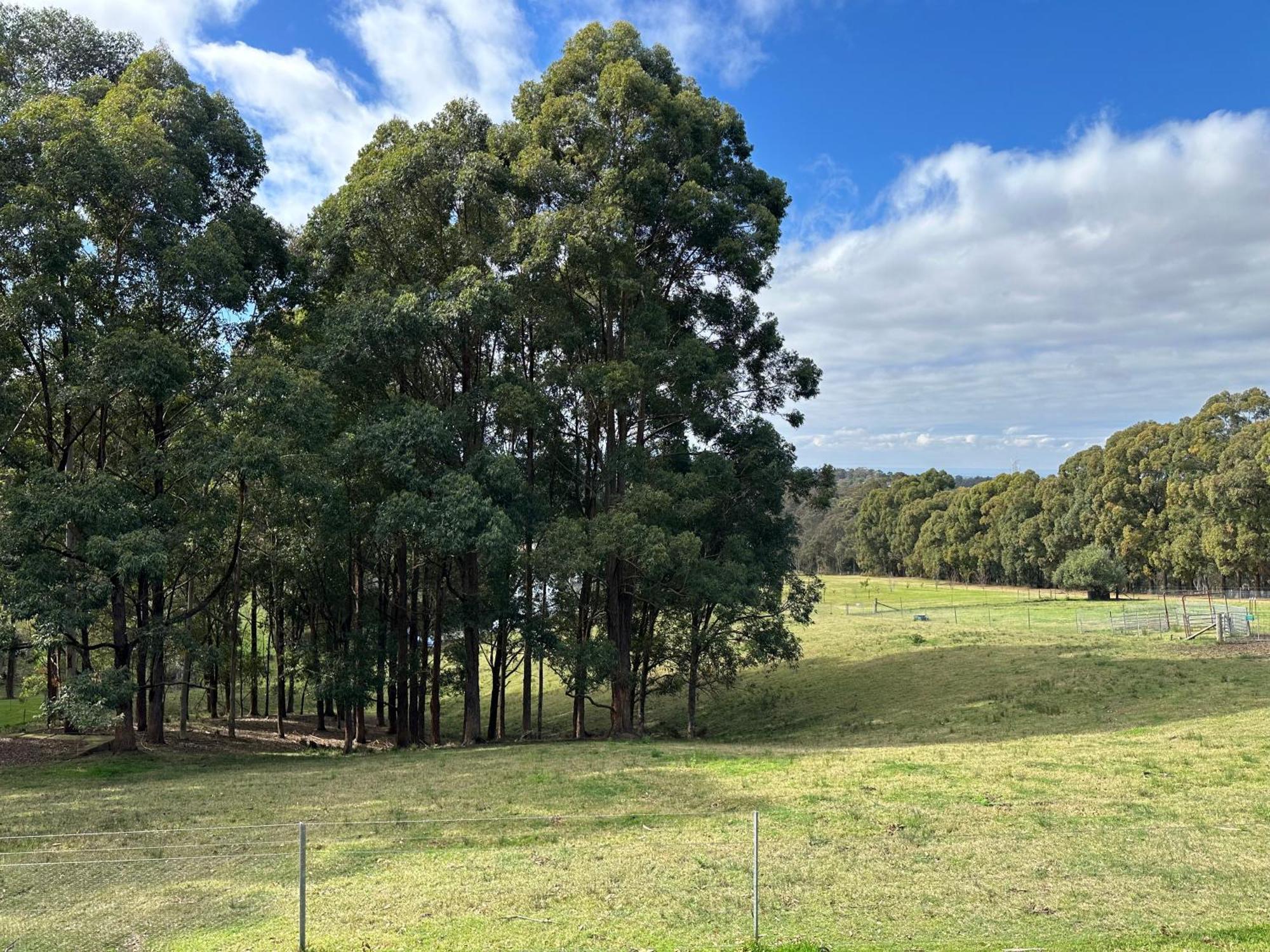 Blueberry Hills On Comleroy Farmstay - Self-Contained Cottages Kurrajong ภายนอก รูปภาพ