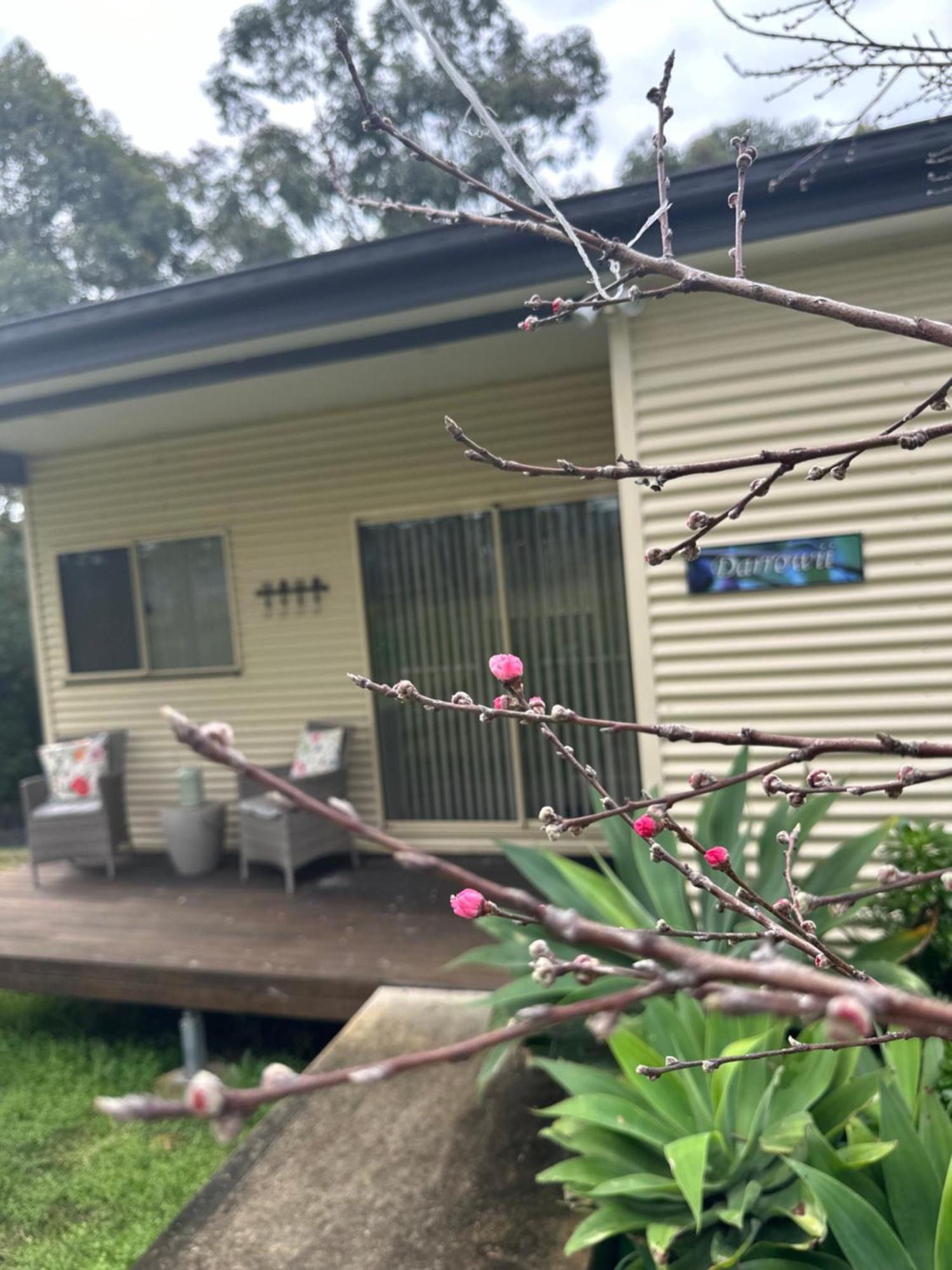 Blueberry Hills On Comleroy Farmstay - Self-Contained Cottages Kurrajong ภายนอก รูปภาพ