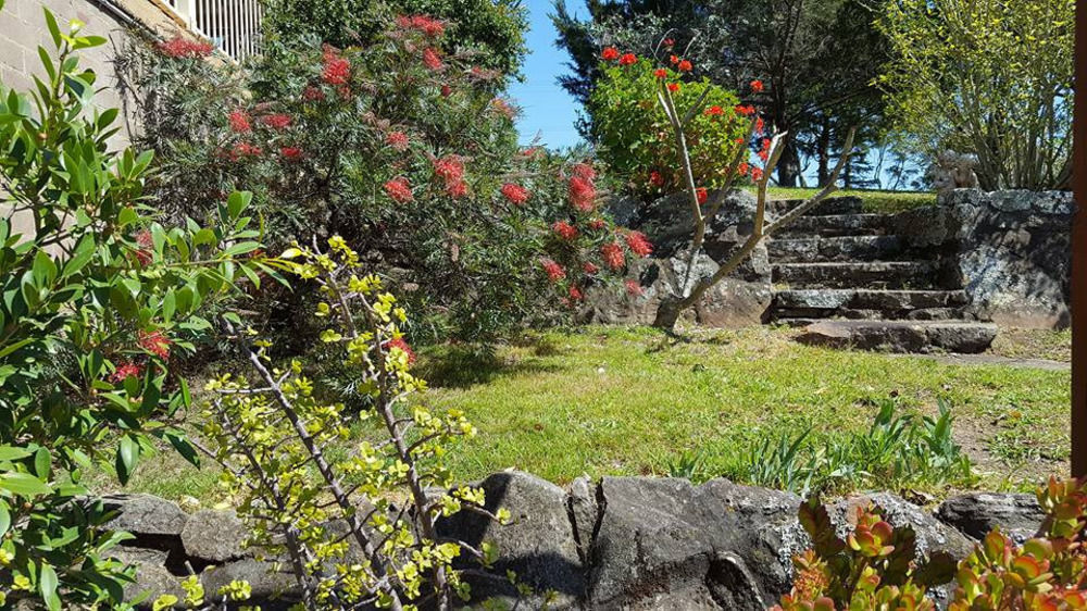 Blueberry Hills On Comleroy Farmstay - Self-Contained Cottages Kurrajong ภายนอก รูปภาพ
