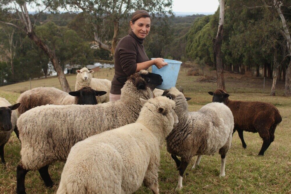 Blueberry Hills On Comleroy Farmstay - Self-Contained Cottages Kurrajong ภายนอก รูปภาพ